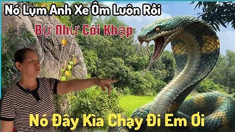 Chấn Động 7 Núi Cô Chủ Quán Xinh Đẹp Gặp Rắn Hổ Mây Trên Núi Cấm