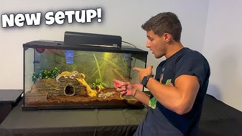 My LEOPARD GECKOS Get A *NEW* Home!!