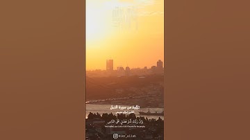تلاوة عطرة من سورة النمل بصوت القارئ إسلام صبحي ❤️ #القران_الكريم #القرآن #quran