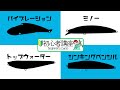 【初心者】シーバスルアーの種類と使い方について【講座】