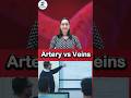 Arteries vs Veins Explained | Class 10 Life Processes |#shorts