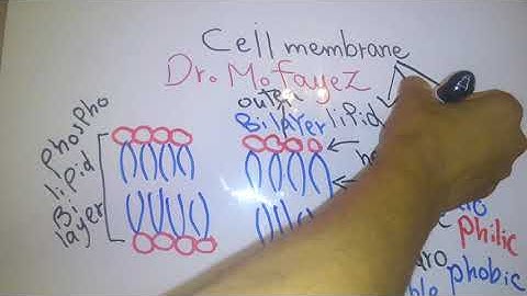Introduction new system (Cell membrane and Simple diffusion) dr mohamed fayez