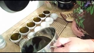 Making A Curly Dock Salve