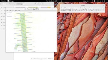 ImageJ: Scale Calibration for Measurements