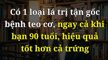 NGƯỜI CAO TUỔI: CHỈ CẦN 1 NẮM LÁ GIÀU COLLAGEN NÀY – TRỊ TẬN GỐC TEO CƠ, TÊ TAY, CHÂN KHỎE TỚI 90!