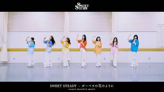 ガーベラの花のように - SWEET STEADY