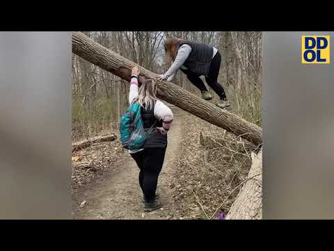 TRY NOT TO LAUGH WATCHING FUNNY FAILS VIDEOS 2021 #106
