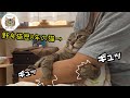 【感動】野良歴8年の元野良猫がパパの腕を掴んで離さない
