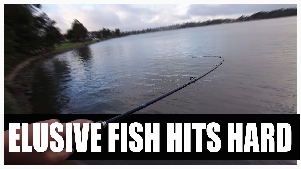 VLOG #7 Something BIG & Elusive Hits  – Jewfish Land Based Fishing Sydney