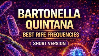Lyme Co-infection: Bartonella Quintana (Trench Fever, Shinbone Fever, Endocarditis)