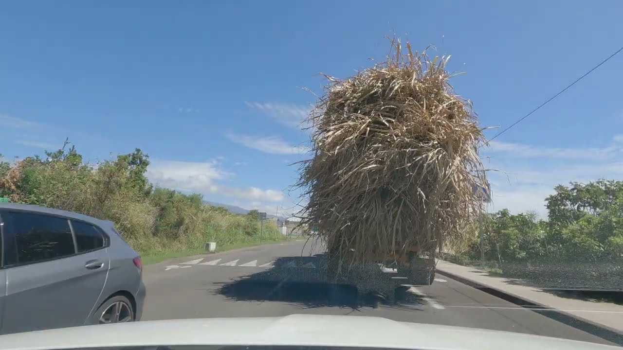 Île de la Réunion, Saint André, part 8