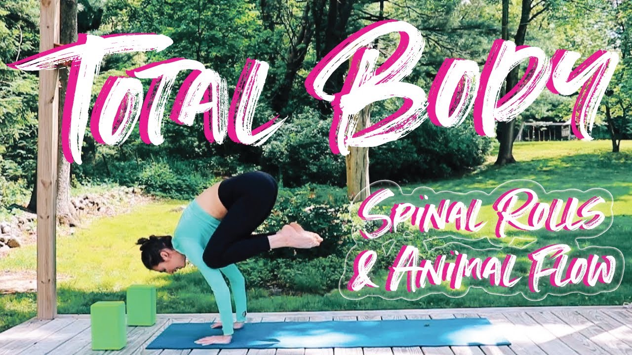 TOTAL BODY TONE | 30 Min Vinyasa Yoga & Animal Flow