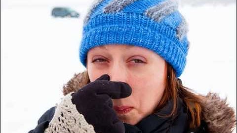 how to remove cat urine from upholstery - how to remove cat and dog urine from upholstery