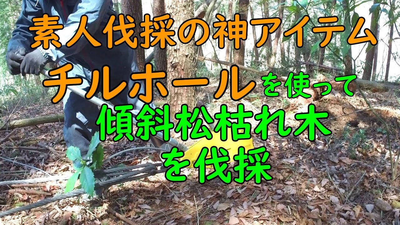 素人の神アイテム チルホールを使って伐採