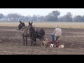 2016 Plow Day at Tom Renner's Farm