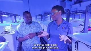The Bahamas Coral Gene Bank Tour with Xavier and Gimel