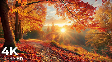 4K Beautiful Relaxing Music 🍁 Enchanting Autumn Nature Scenes with Forest Sounds & Peaceful Music