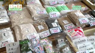 うちの逸品　#18　　中屋商店　ご飯のお供セット