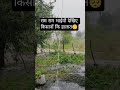 Comment मैं बताइए आपके इधर पानी गिर रहा है कि नहीं.....
