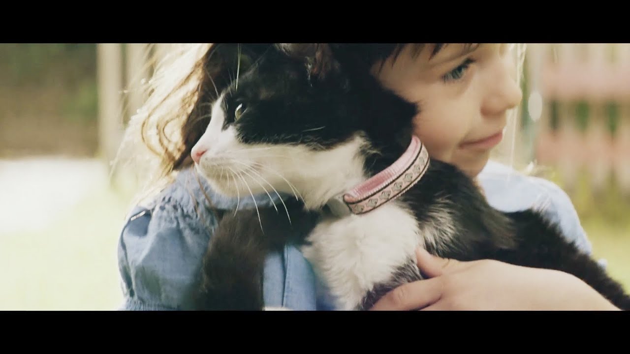 Ykk Ap公式 15 赤ちゃんと猫 篇 90秒 特別編集ver Baby Cat Youtube