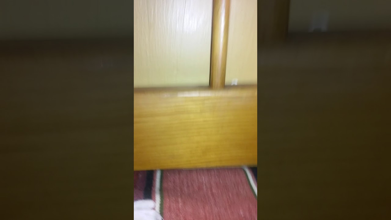 LEAFERBAG'S NEW CHANNLE ANNOUNCEMENT