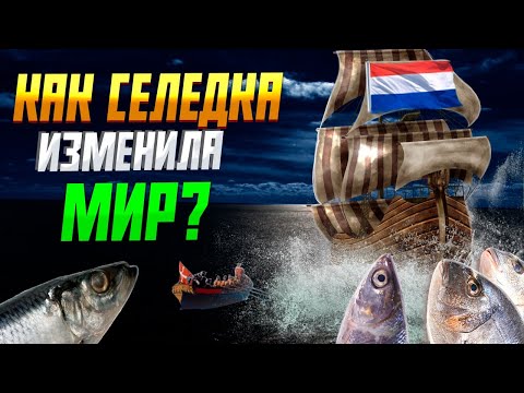 Как селедка изменила мир? #селёдка #история #нидерланды