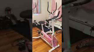 pink sunny health and fitness spin bike xmas 2020