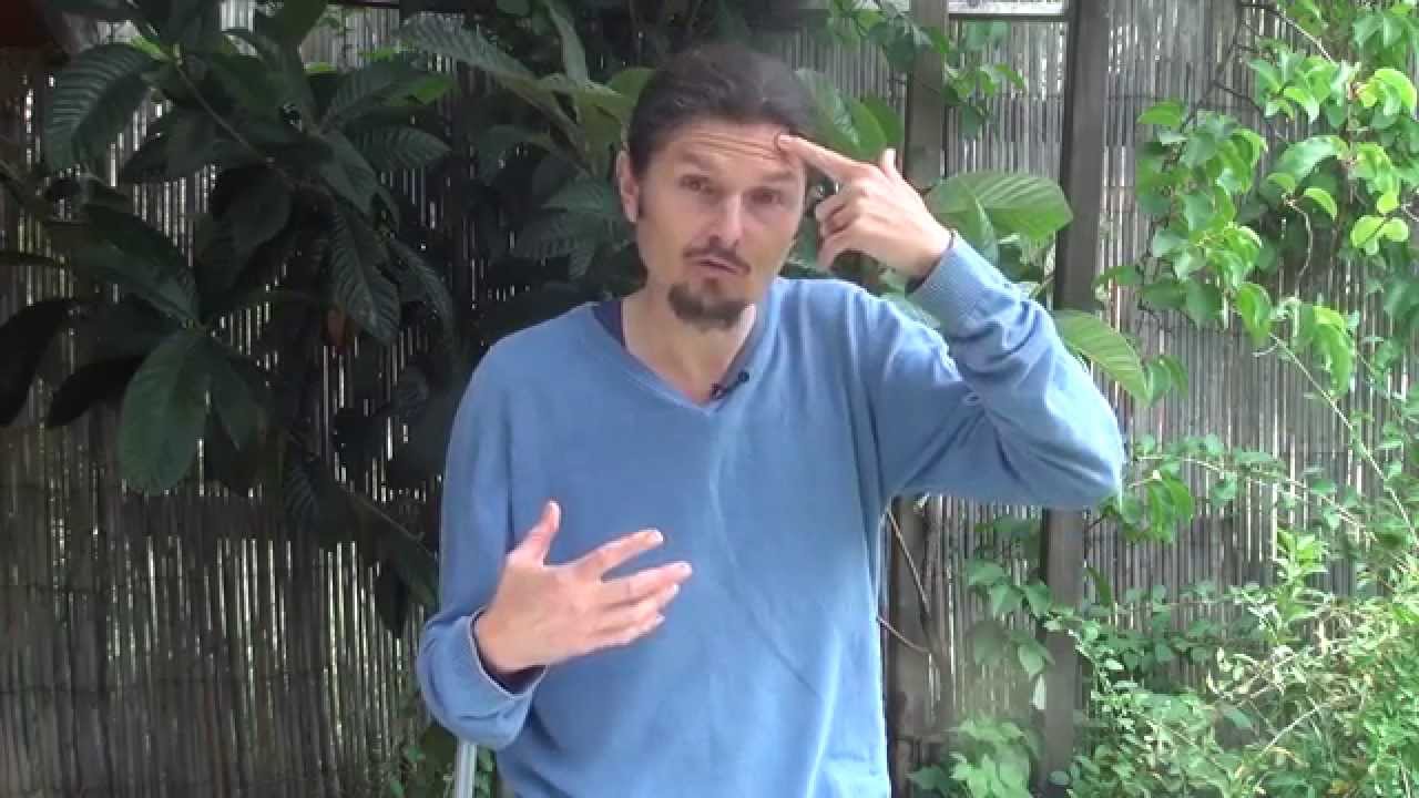 "Maigrir de santé" première partie ! du cerveau aux intestins et vice versa n°2- www.regenere.org