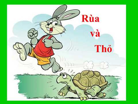 Khối 1 tuần 25 kc rùa va thỏ