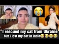 I rescued my cat from ukraine but i lost my cat in india  russia ukraine war shivangiranjana