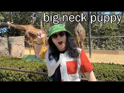 I Went To The Zoo... (again)