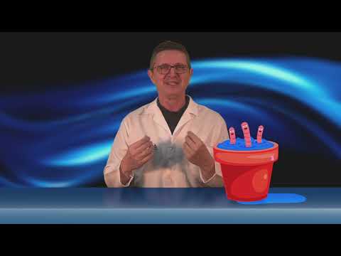 Vídeo: Você pode afogar minhocas?