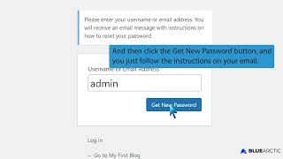 How to Change the Password of a WordPress Account   BLUE ARCTIC