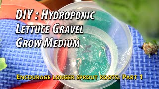 DIY: Hydroponic Lettuce  Gravel Grow Medium for Sprouts  Part 1. Sow Seeds, Encourage Longer Roots