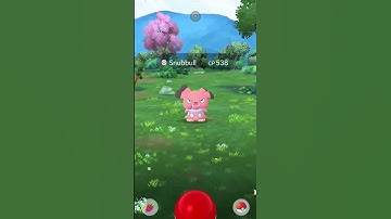 🌟SHINY Onix in the new land 🌟 #shiny #pokemon #pokemongo