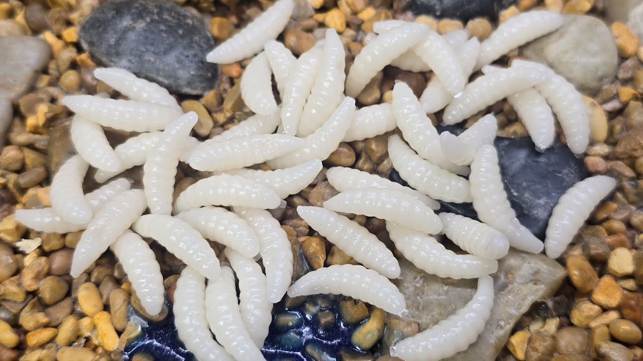 If it's Panfishing or Ice Fishing, this bait will work
