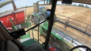 Cab View | John Deere S 560 𝒊 | HYBRID WHEAT HARVEST [GoPro POV]