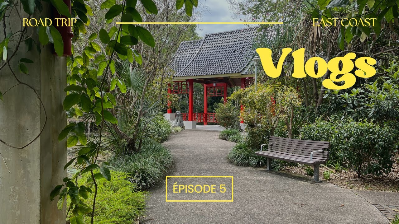 Attaque de moustiques à Cairns - Journée jungle et rando tropicale !