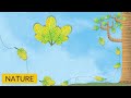 Nature short story for children the little leaf