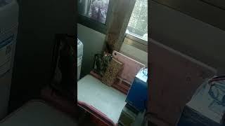 15 Meter Laser Punching For Metel