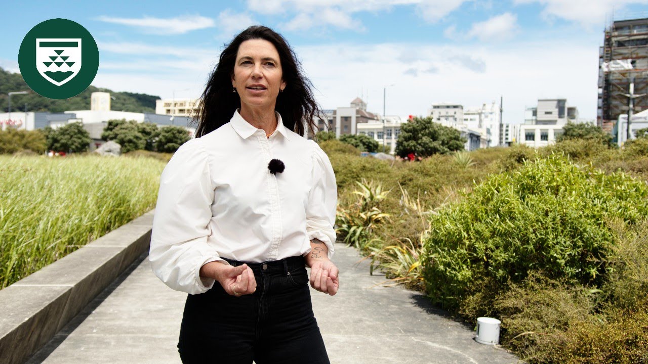 What do Landscape Architects do? YouTube