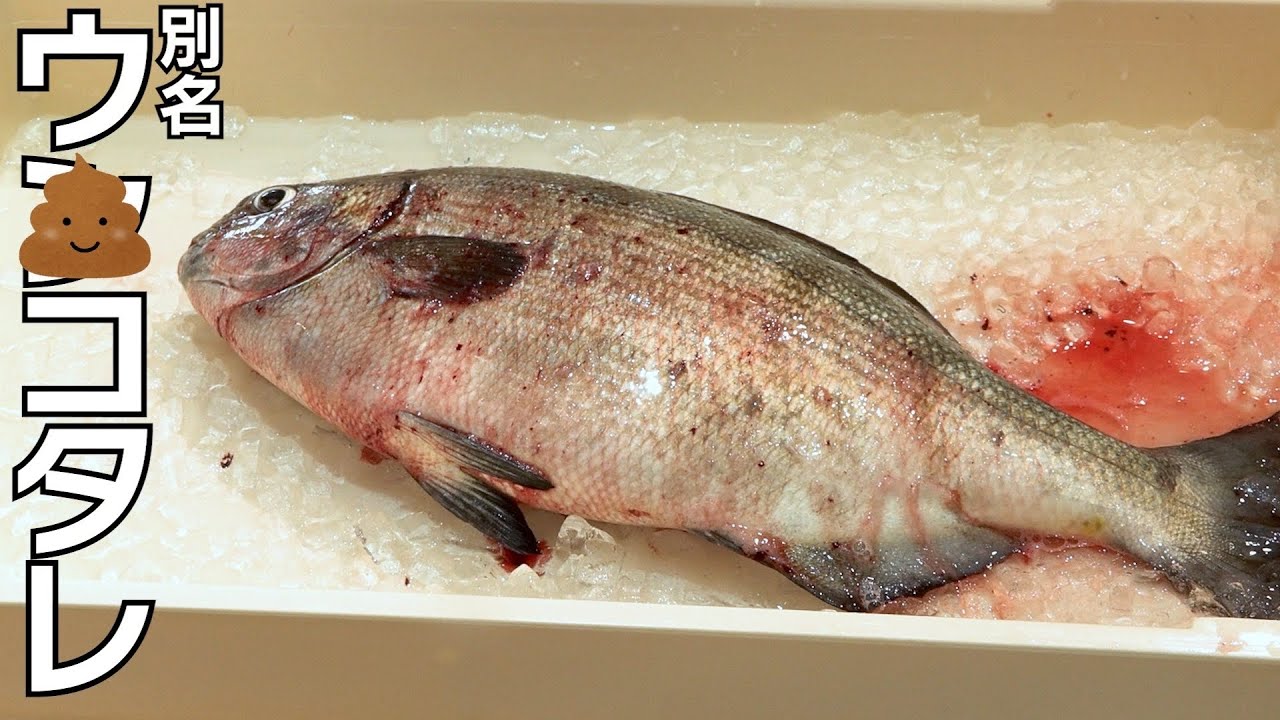 きまぐれクック視聴中 This fish. The smelliest one I've ever eaten. - YouTube