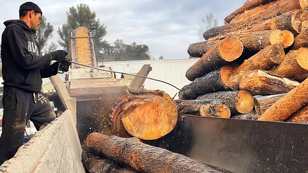 Что-то застряло! Посмотрите на борьбу измельчителей!