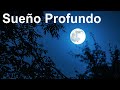 EscuchasDurante 5 Minutos Entrarás En Sueño Profundo Inmediatamente, Música para Dormir