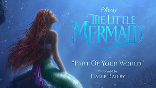 The Little Mermaid Part of Your World
