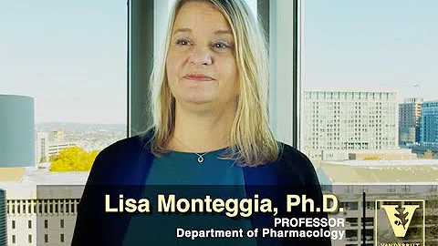 Lisa Monteggia Research Overview  Psychiatric Diso...