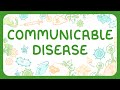 Understanding Pathogens and Disease Prevention