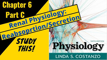 Costanzo Physiology (Chapter 6C) Renal Physiology: Reabsorption and Secretion || Study This!