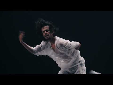 Lo faunal - Pol Jimenez