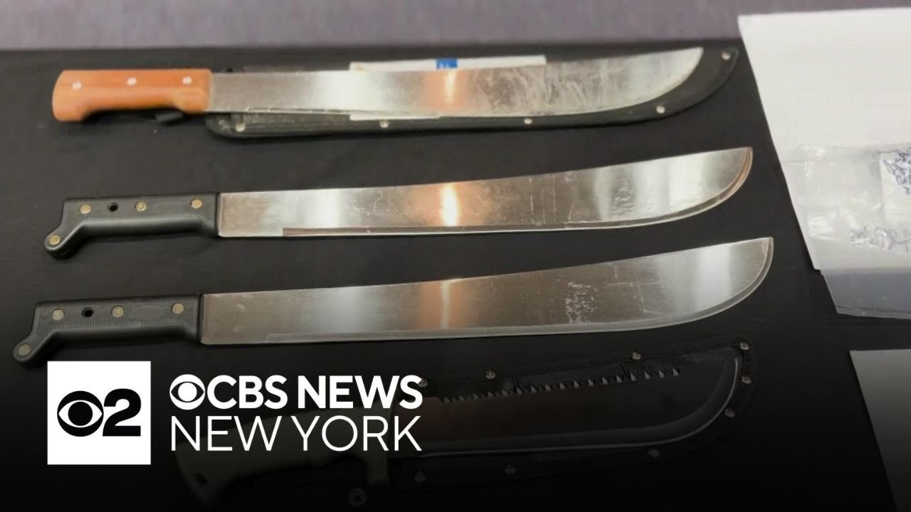 Nassau County working with ICE to have dozens of alleged gang members deported